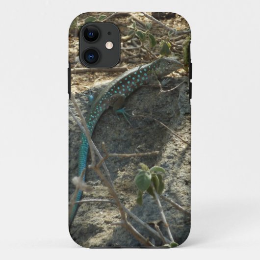 Coques Case-Mate iPhone Lézard fouette-queue d'Aruba Photographie d'animau (Dos)