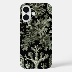 Coques iPhone 16 Lichen par Ernst Haeckel, Plantes Vintages de la n