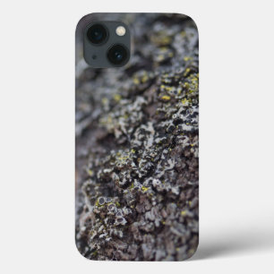 Coques Pour iPhone Lichen sur Bark