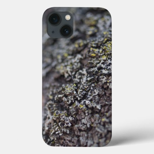 Coques Case-Mate iPhone Lichen sur Bark (Verso)