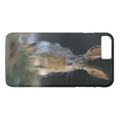 Coques Case-Mate iPhone Lièvre à queue noire, Lepus californicus, 2 (Dos (Horizontal))