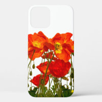Ligne de coquelicots rouges isolatedart, arrière -