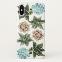 Ligne de succulents