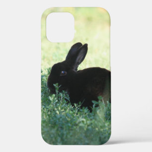 Coques Pour iPhone Lil Black Bunny