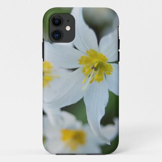 Coques Case-Mate iPhone Lilies Avalanche à Paradise Park (Dos)