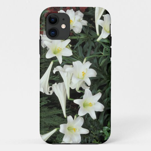 Coques Case-Mate iPhone Lily de Pâques (Lilium regale) (Dos)