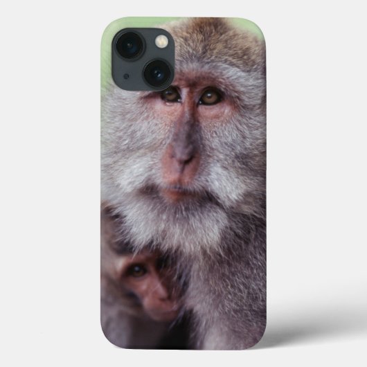 Coques Case-Mate iPhone L'Indonésie, Bali, Ubud, Macaque Long-coupé la (Verso)