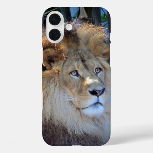 Coques Case-Mate iPhone lion (Verso)