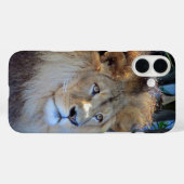 Coques Case-Mate iPhone lion (Verso (horizontal))