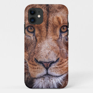 Case-Mate iPhone Case Lion africain