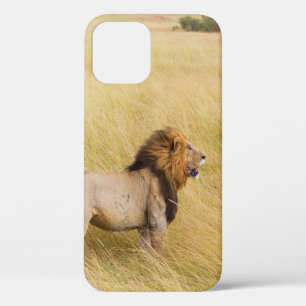 Case-Mate iPhone Case LION Brown SUR LE CHAMP GRASS PENDANT LA JOURNÉE