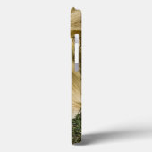 Coques Case-Mate iPhone Lion d'Afrique, Lion panthère, endormi (Verso / Gauche)