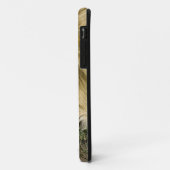Coques Case-Mate iPhone Lion d'Afrique, Panthera leo, couché endormi (Dos/Gauche)