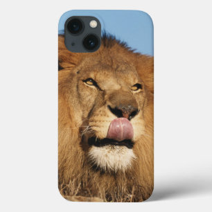 Etui iPhone Case-Mate Lion d'Afrique (Panthera Leo), savane africaine