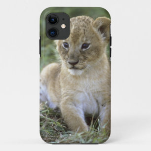 Coques Pour iPhone lion d'Afrique, Panthera leo), Tanzanie,