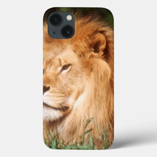 Coques Case-Mate iPhone Lion de mâle adulte (Verso)