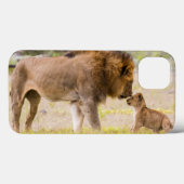 Coques Case-Mate iPhone Lion mâle alpha inspecte un ourson (Verso (horizontal))