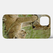 Coques Case-Mate iPhone Lionceau Jouant (Verso (horizontal))