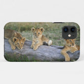 Coques Case-Mate iPhone Lionceaux sur rondin (Dos (Horizontal))