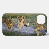 Coques Case-Mate iPhone Lionceaux sur une bûche (Verso (horizontal))