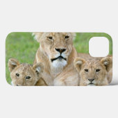 Coques Case-Mate iPhone Lioness et deux petits, Afrique de l'Est, Tanzanie (Verso (horizontal))