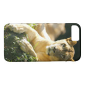 Coques Case-Mate iPhone Lions (Dos (Horizontal))