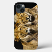 Coques Case-Mate iPhone Lions prédateurs dangereux (Verso)