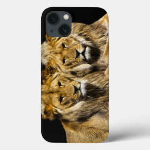 Etui iPhone Case-Mate Lions prédateurs dangereux