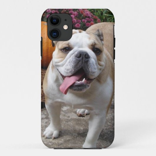 Coques Case-Mate iPhone L'iPhone drôle mignon 5 de bouledogue anglais (Dos)