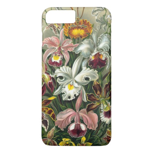 Coques Case-Mate iPhone Lithographie colorée de l'orchidée de Haeckel (Dos)