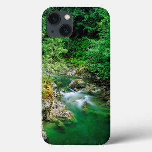 Etui iPhone 13 Little Qualicum River