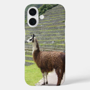 Coques iPhone 16 llama 3