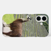 Coques Case-Mate iPhone llama 3 (Verso (horizontal))