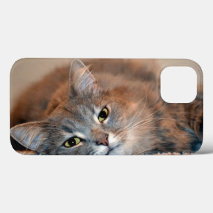 Case-Mate iPhone Case Long chapeau bleu russe par Shirley Taylor