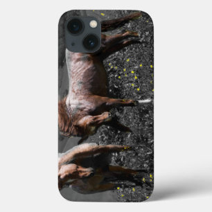 iPhone 13 Coque Longeron d'étalon
