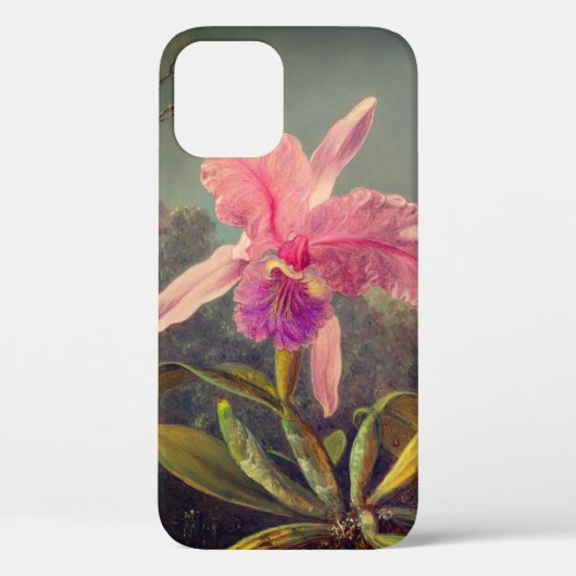 Coques Case-Mate iPhone L'orchidée de Cattleya et trois colibris Heade (Verso)