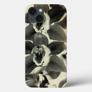 iPhone 13 Case L'orchidée rougissent des panneaux IV