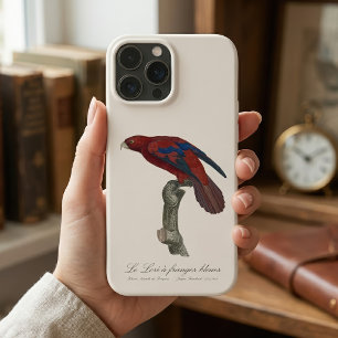 Case-Mate iPhone Case Lori à queue brune, Trichoglossus borneus