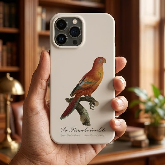 Coques Case-Mate iPhone Lori rouge ou Eos Bornea, Trichoglossus borneus