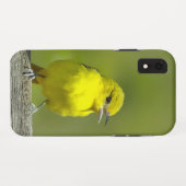 Coques Case-Mate iPhone Loriole des vergers - Photographie originale (Dos (Horizontal))