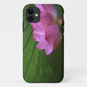 Etui iPhone Case-Mate Lotus Ohga, jardin Sankei-en, Yokohama, Japon