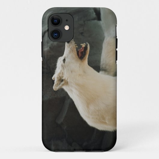 Coques Case-Mate iPhone Loup blanc (Dos)