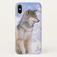 Loup de bois assis dans la neige, Canis lupus,