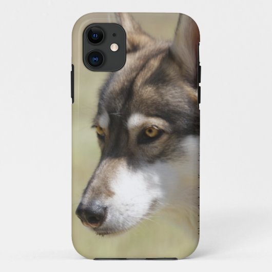 Coques Case-Mate iPhone Loup gris (Dos)