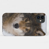 Coques Case-Mate iPhone Loup gris européen (Dos (Horizontal))