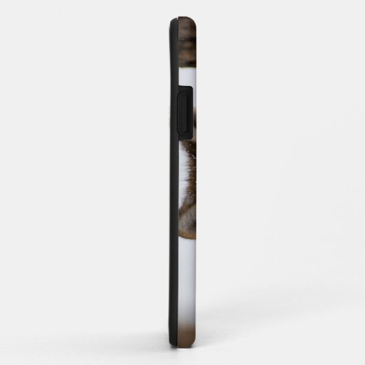 Coques Case-Mate iPhone Loup gris européen (Dos/Droite)