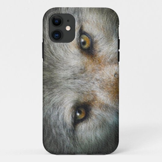 Coques Case-Mate iPhone Loup gris Golden Eyes Cadeau faunique (Dos)