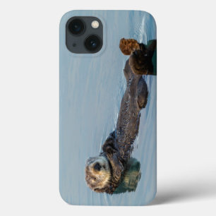 iPhone 13 Case Loutre de mer flottant sur le dos dans l'océan