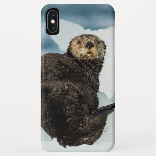 Coques Case-Mate iPhone Loutre de mer froide (Dos)