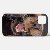 Coques Case-Mate iPhone Loutres de mer, Enhydra lutris 6 (Verso (horizontal))